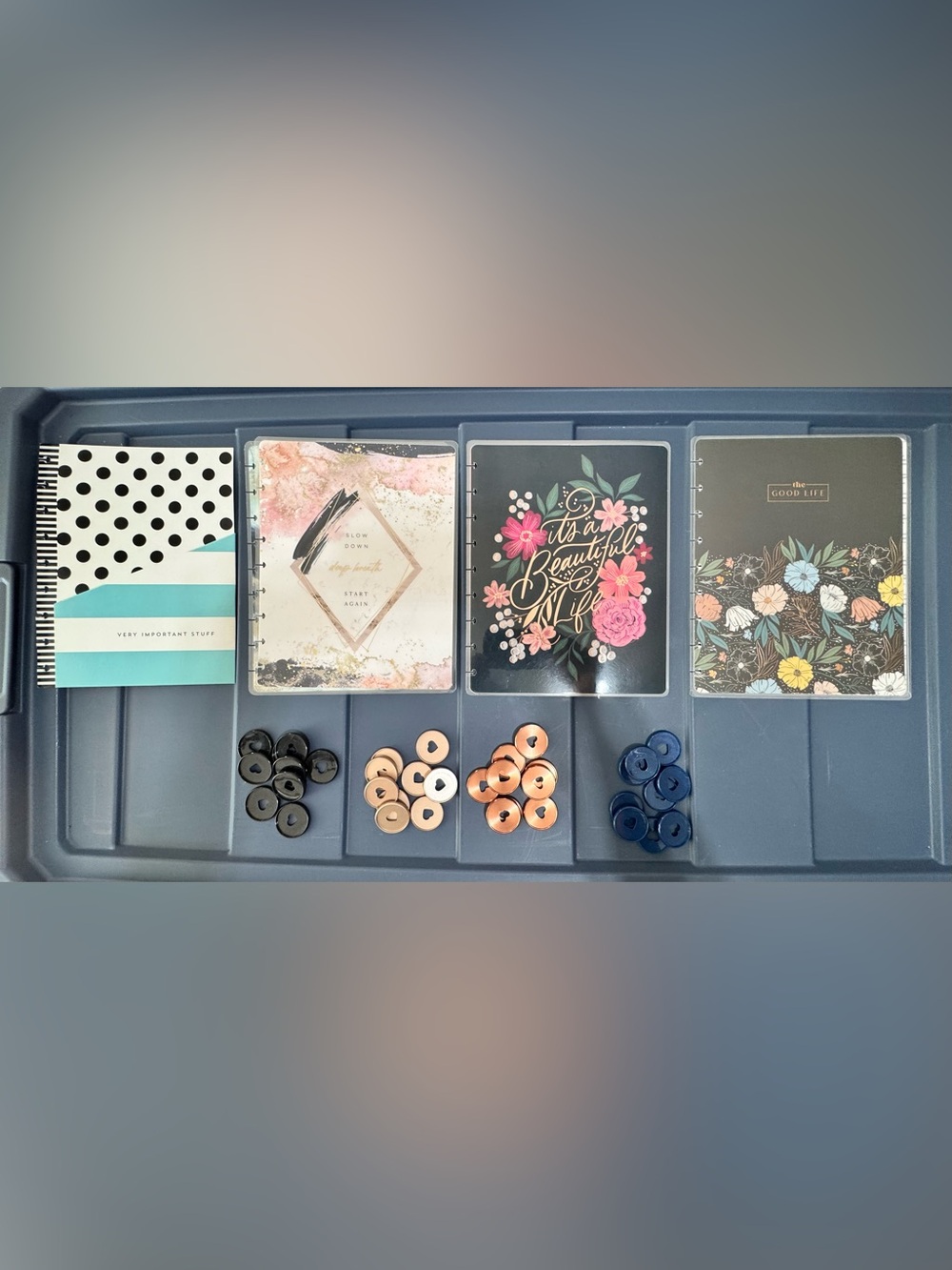The Happy Planner Classic Covers (set of 3) & Disc Set (4)